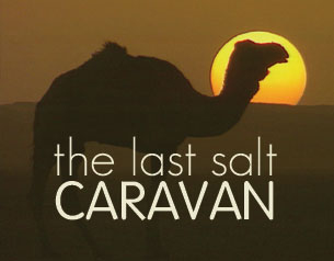The Last Salt Caravan The Last Salt Caravan