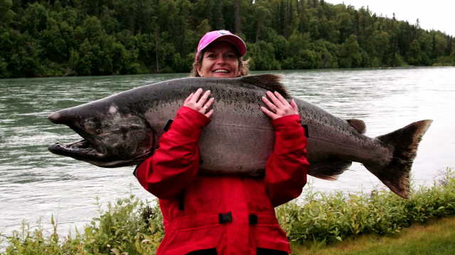 Genetically Modified Salmon Genetically Modified Salmon
