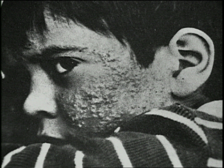 Seveso Revisited Journeyman Pictures