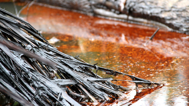 Endless Oil Spills Endless Oil Spills