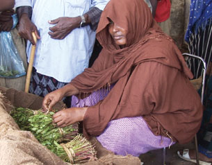 The Khat War The Khat War