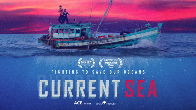 Current Sea Current Sea