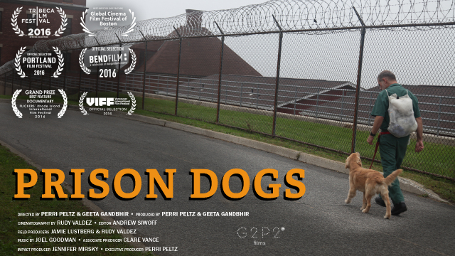 Prison Dogs Prison Dogs