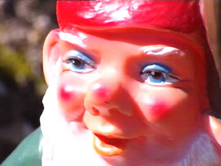 Elves Elves