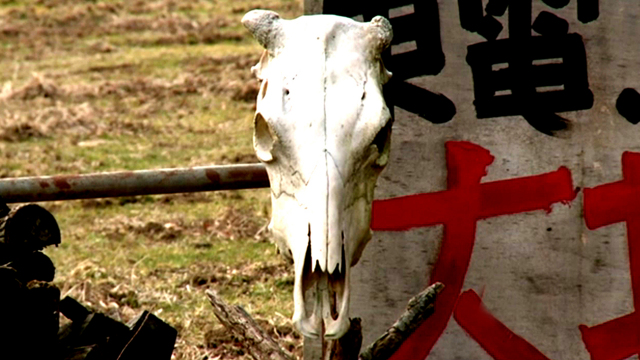 Fukushima Now Fukushima Now