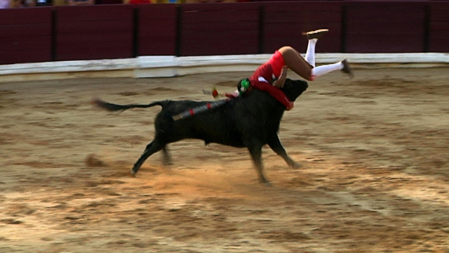 Bull Breakers Bull Breakers