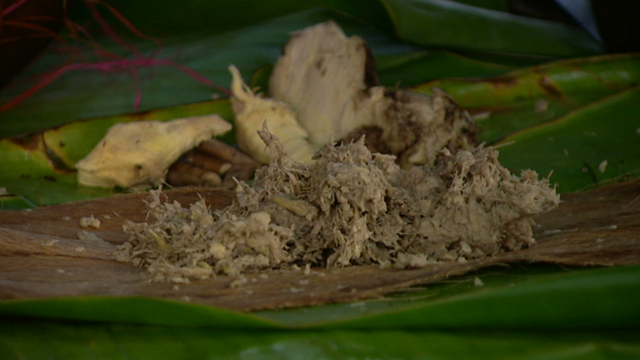 Kava Culture Kava Culture