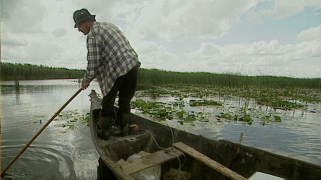 Rebirth Of The Danube Delta Rebirth Of The Danube Delta