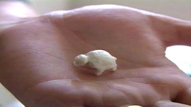 Chewing-gum Sculptor Chewing-gum Sculptor