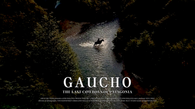 Gaucho Gaucho