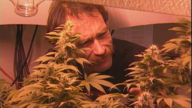 Medical Marijuana Medical Marijuana