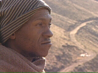 Lesotho - Survival Lesotho - Survival