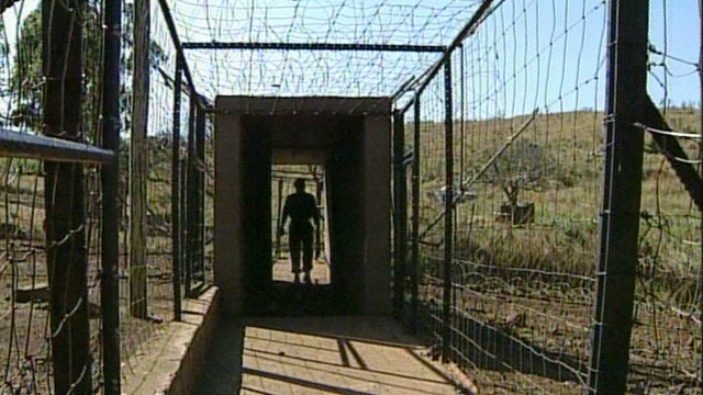 Tunnel Vision Tunnel Vision