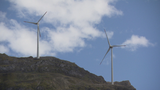 Sowing the Wind Sowing the Wind