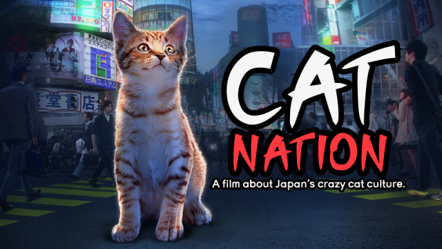 Cat Nation Cat Nation