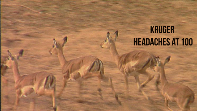 Kruger Headaches at 100 Kruger Headaches at 100