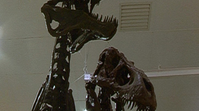 Dino Dollars Dino Dollars