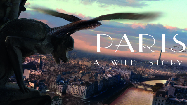 Paris: A Wild Story Paris: A Wild Story