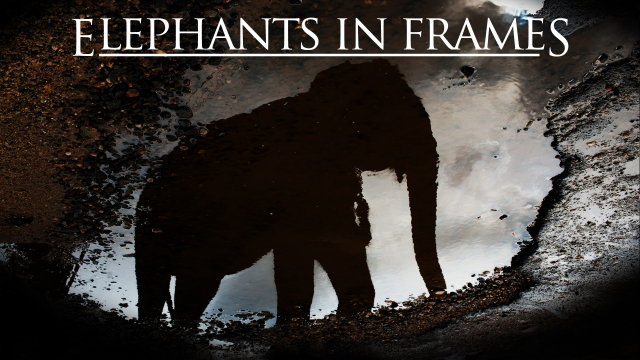 Elephants in Frames Elephants in Frames