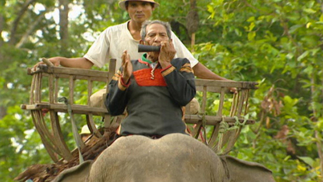 Vietnam Viagra Vietnam Viagra