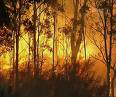 Marysville Fires Marysville Fires