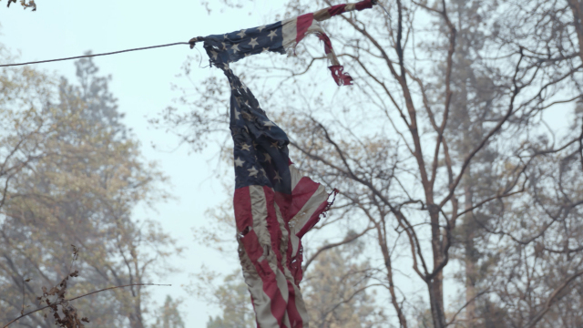 In The Wake Of The Wildfire In The Wake Of The Wildfire