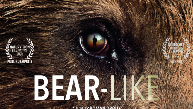 Bear-Like Bear-Like