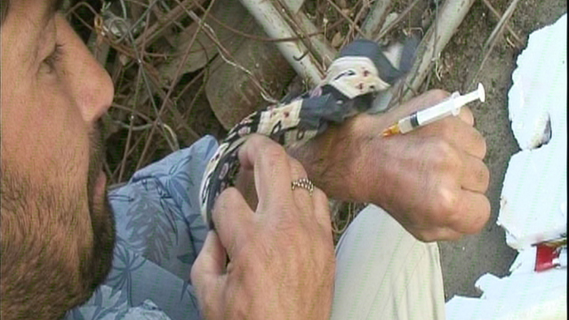Drugs Blight Drugs Blight