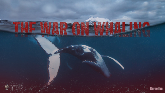 The War on Whaling The War on Whaling